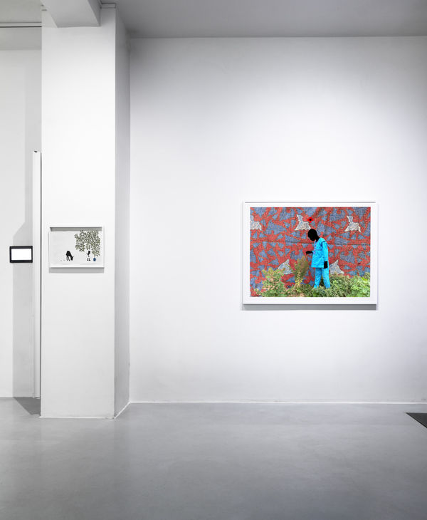 2026 01 07 Afikaris 1585