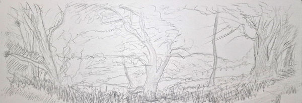 Kit Glaisyer, Spring on Lewesdon Hill