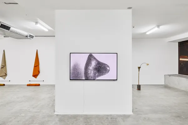 Group Show Mrs. Spring Fragrance