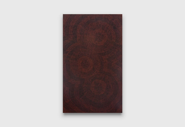 Puuni Brown Nungarrayi Kapi Tjukurrpa 2, 2023 acrylic on canvas 152 x 91 cm 59 7/8 x 35 7/8 in