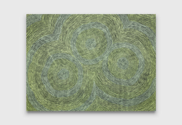 Puuni Brown Nungarrayi Kapi Tjukurrpa 8, 2023 acrylic on canvas 91 x 122 cm 35 7/8 x 48 in