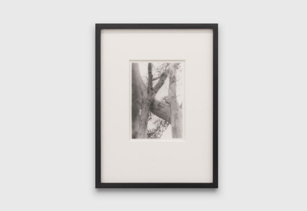 Anthony Hodgkinson Dancers In The Wind II, 2019 silver gelatin print 13.7 x 12 cm 5 3/8 x 4 3/4 in