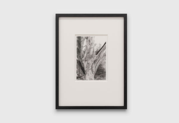 Anthony Hodgkinson Dancers In The Wind III, 2019 silver gelatin print 13.7 x 12 cm 5 3/8 x 4 3/4 in