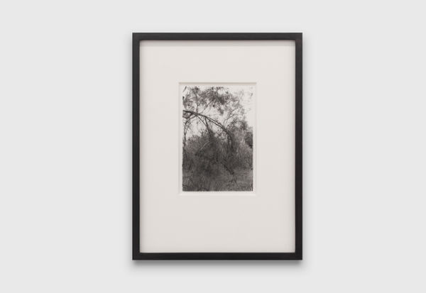 Anthony Hodgkinson Dancers In The Wind IV, 2019 silver gelatin print 137 x 12 cm 54 x 4 3/4 in