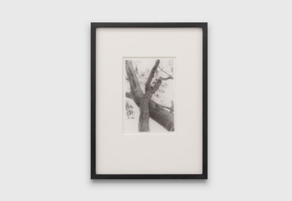 Anthony Hodgkinson Dancers In The Wind I , 2019 silver gelatin print 13.7 x 12 cm 5 3/8 x 4 3/4 in