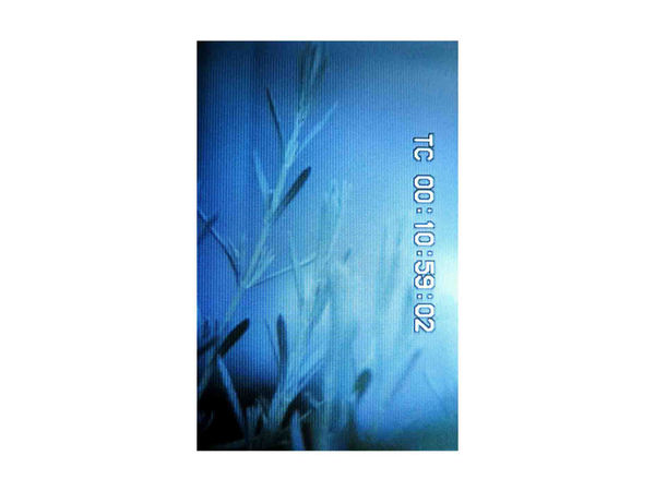 Colin Snapp TC00105902, 2015 c-print photograph 183 x 117cm