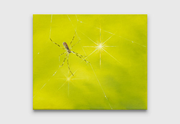 Mia Middleton Light Web, 2022 oil on Italian cotton 25 x 30 cm 9 7/8 x 11 7/8 inches