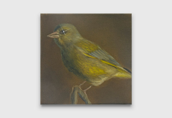 Mia Middleton Spark, 2022 oil on Italian cotton 20 x 20 cm 7 7/8 x 7 7/8 inches