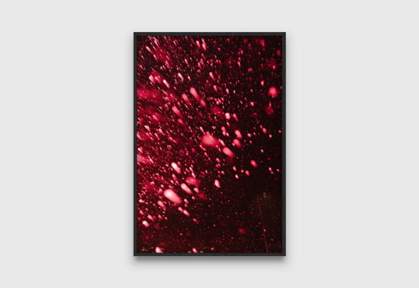 Shan Turner-Carroll Blueberry, 2024