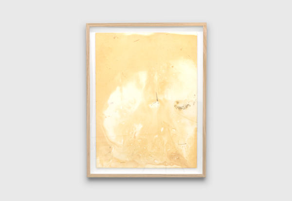 Shan Turner-Carroll Orange creek, Bundanon, No. 4, 2022 Iron-oxidized on paper 76 x 56 cm 29 7/8 x 22 in