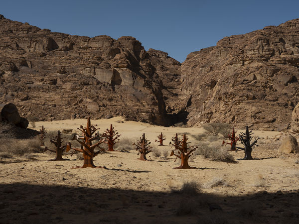 Dx26 Ibrahim El Salahi 18 Lance Gerber