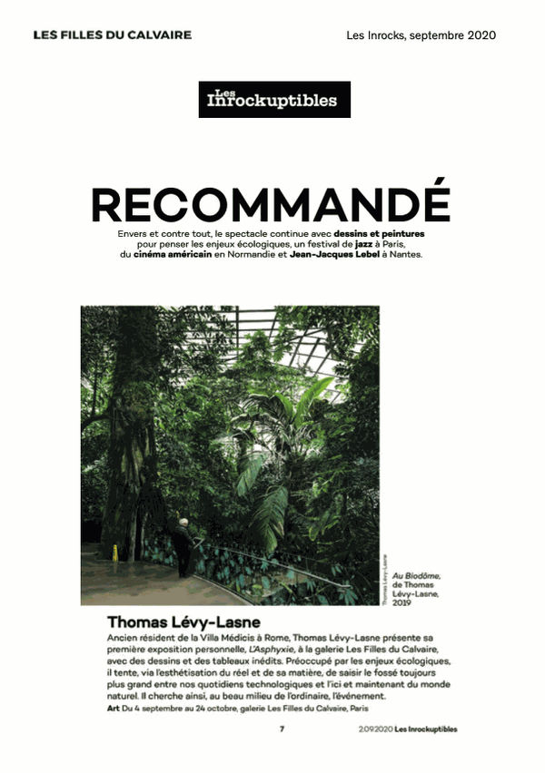 Thomas Lévy-Lasne — Les Inrocks