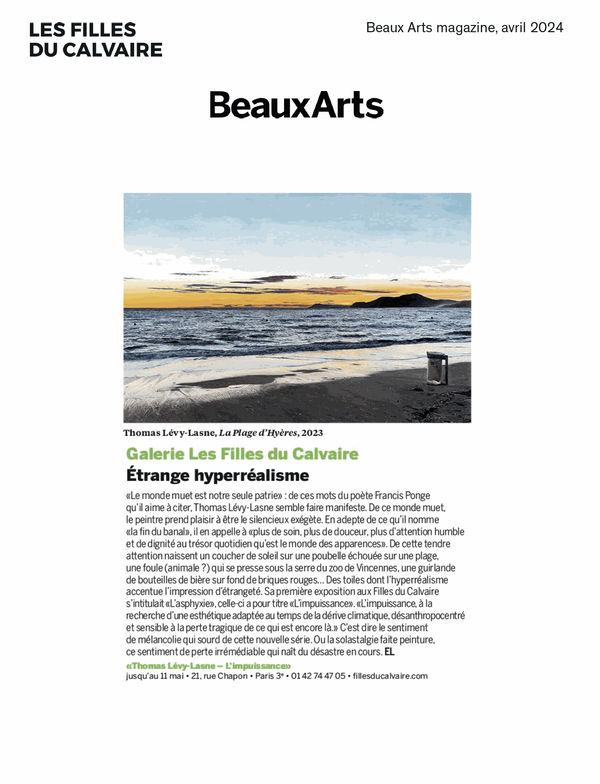 Thomas Lévy-Lasne | Beaux Arts Magazine