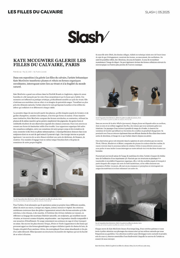 Kate MccGwire I Slash