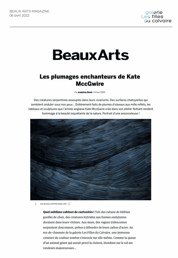 Kate MccGwire | Beaux Arts Magazine