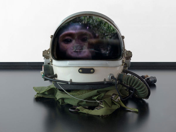 Mat Collishaw ΑΩ, 2016 Space helmet, replica skull, LCD screen, media player, glass, wood 164 × 90 × 100 cm