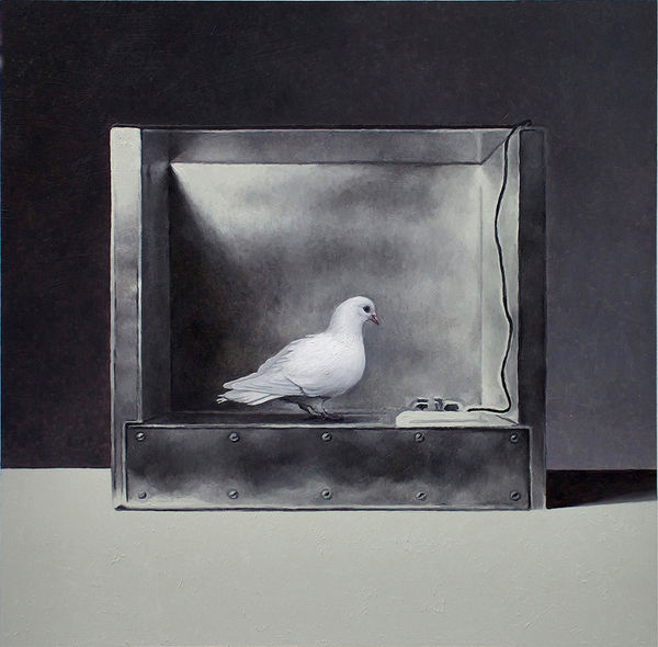 Mat Collishaw, Operant Conditioning Chamber #1, 2022