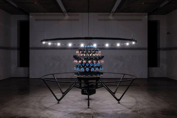 Mat Collishaw. The Machine Zone