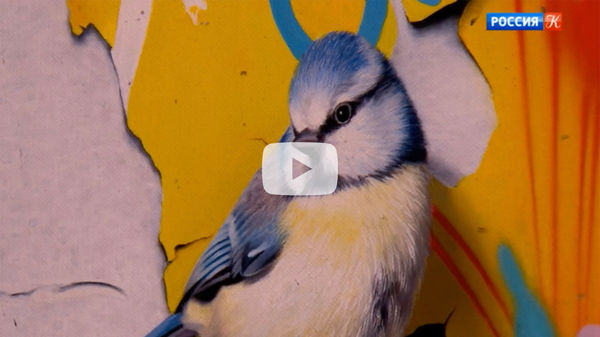 Mat Collishaw. Gary Tatintsian Gallery. Interview TV Culture