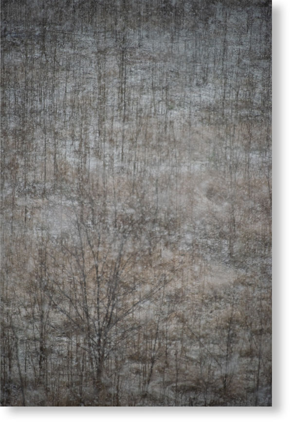 Jurek Wajdowicz, Untitled, 81B_1817, 2017