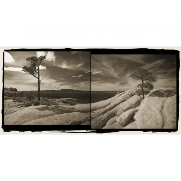 David Michael Kennedy: Sacred Land