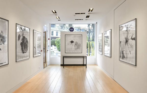 Stephen Inggs : Botanical Legacies