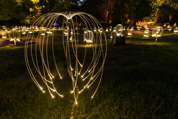 Bruce Munro | Light Creations