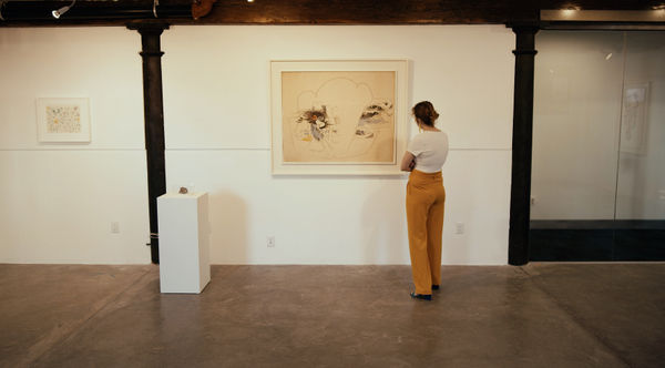 Hannah Wilke Install 5