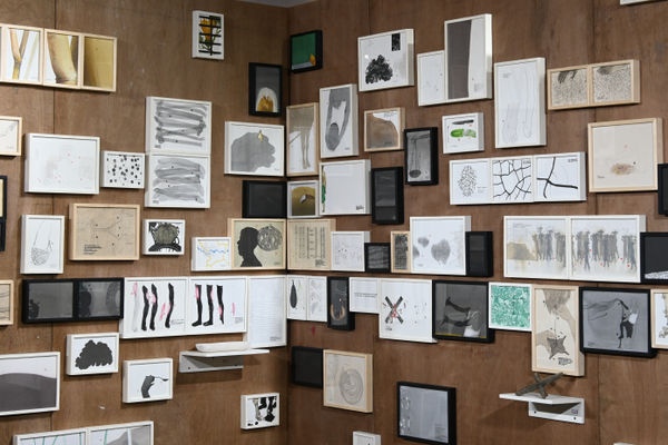 10 The Drumstick Tree And Other Stories Anatomy Of A Vegetable Ruminations Of A Fragile Ecosystem Kochi Muziris Biennale December 2022