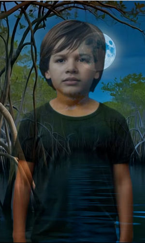 Rubem Robierb: Roots to Fly Avatar