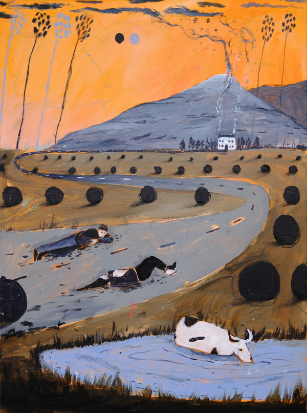 Wide Eyed Embers Billy Bagilhole