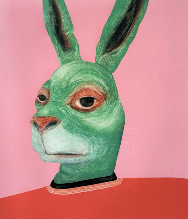 Creature Comforts Stewart Swan