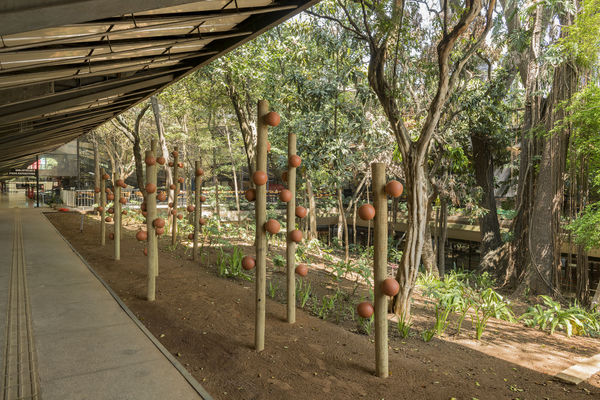 Brotos de ondas germinantes Centro Cultural São Paulo – CCSP