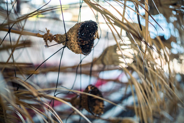 Photo by Takahiro Tsushima.