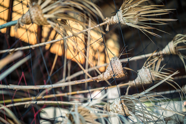 Photo by Takahiro Tsushima.