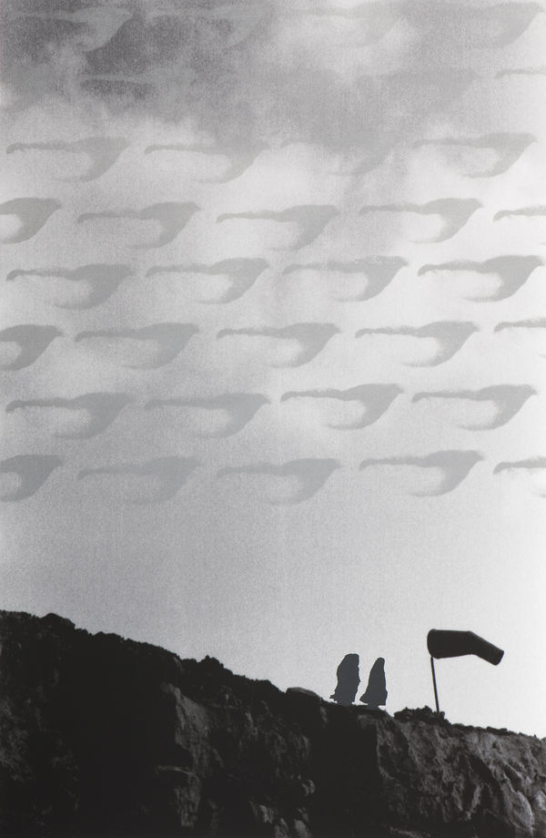 LANDSCAPE OF THE MIND II | مشهد من طبيعة الفكر٢ 2009-2010 Archival Giclée Prints on Hahnemule paper with silk screen ink | مطبوعات GICLÉE المحفوظة على ورق HAHNEMULE بحبر شاشة حرير 152 X 101 CM Editions 5 + AP