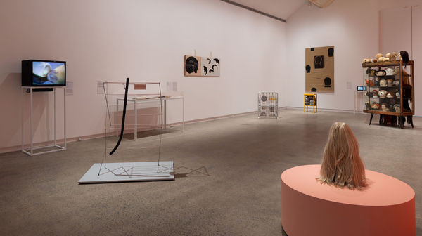 436121008 855093679979102 7289984714548235378 N