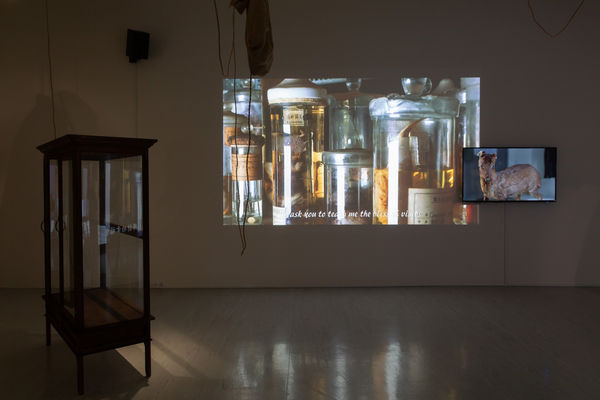 453384469 904699741685162 4108736875780607622 N