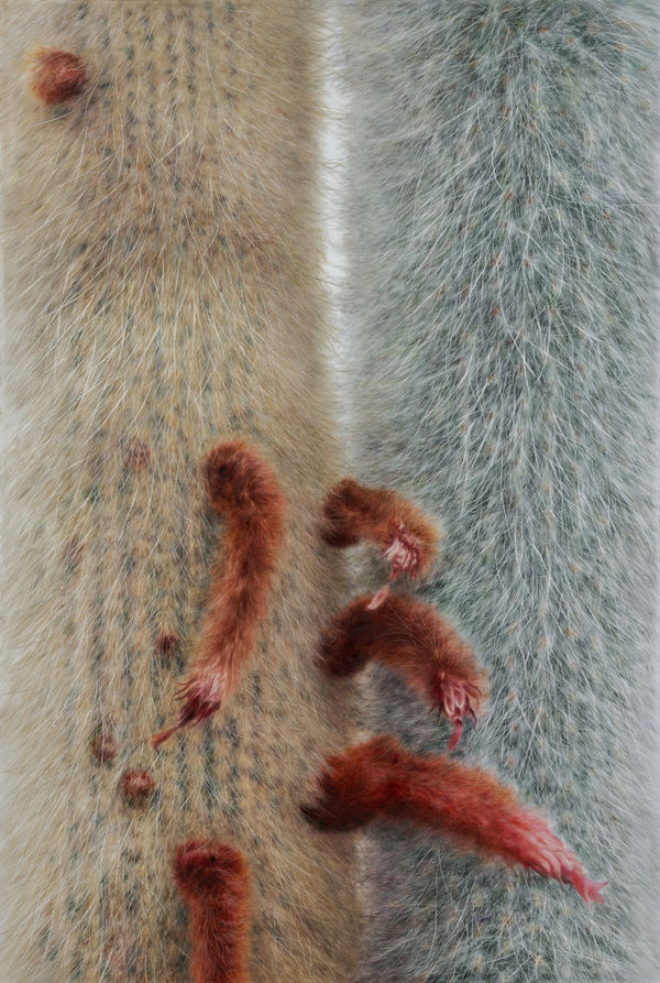 Lee Kwang-Ho Untitled 6136, 2025 Oil on canvas 193.9 x 130.3 cm $40,000 USD