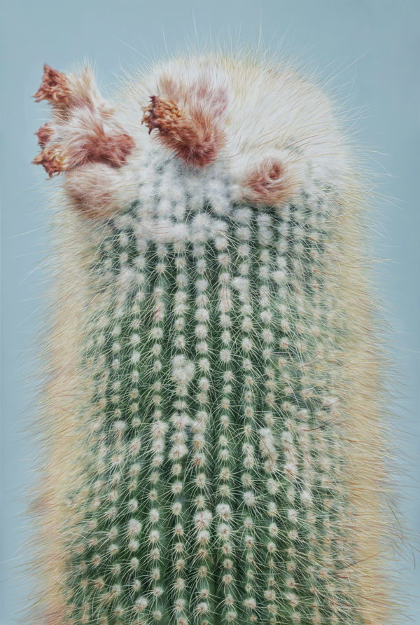 Lee Kwang-Ho Untitled 6804, 2025 Oil on canvas 193.9 x 130.3 cm $40,000 USD