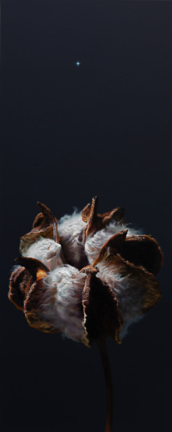 Kang Kang Hoon Polestar(251206), 2025 Oil on canvas 100 x 40 cm $7,500 USD