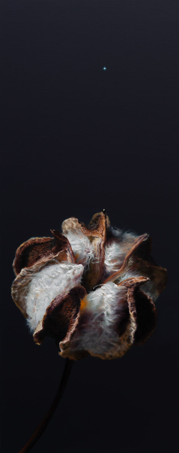 Kang Kang Hoon Polestar(251208), 2025 Oil on canvas 100 x 40 cm $7,500 USD