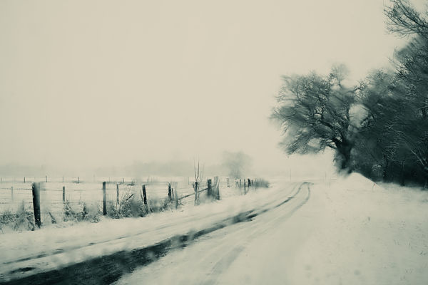 Schneefallimpressionen 7