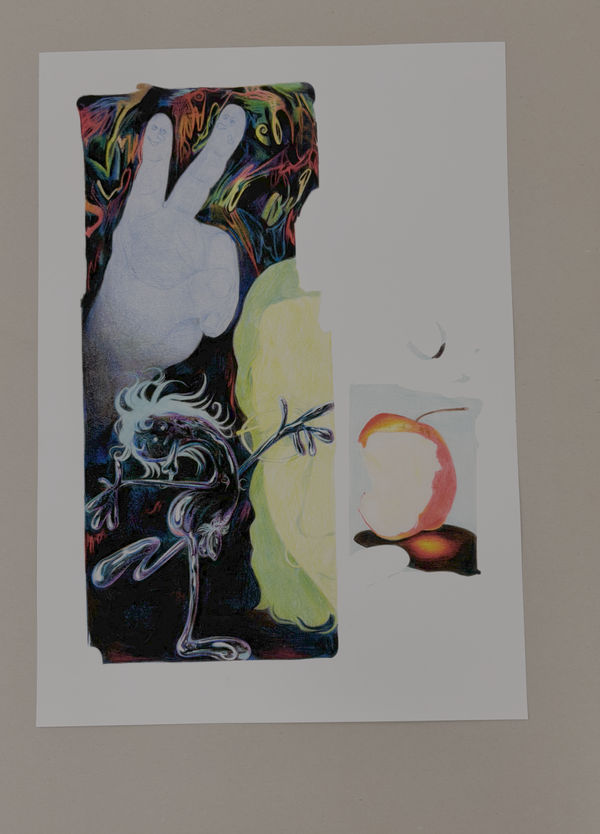 Sébastien Sans-Arcidet, how I feel About Knowledge, limited edition print