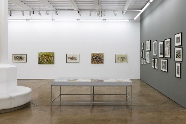 Theresa Musoke - The Presence of Living Things (1963 - 2025) at Circle Art Gallery