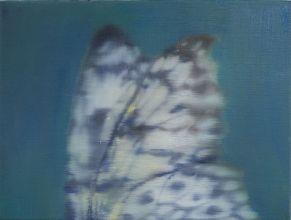 My Air Born Poetics, 2025