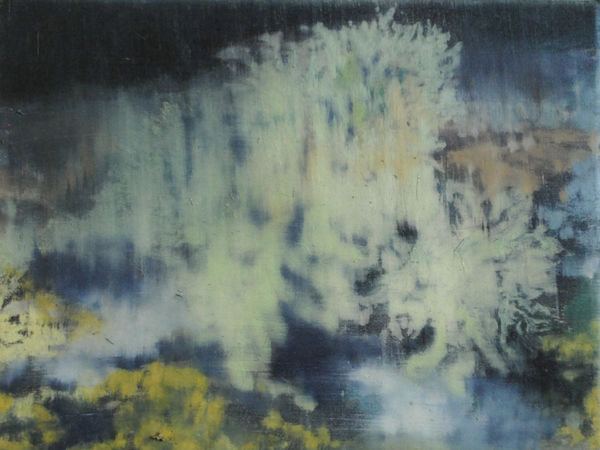 The Weather of a Branch, 2022