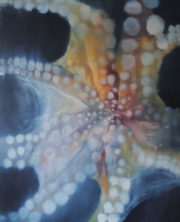 The Cephalopod's Dance 2 , 2024