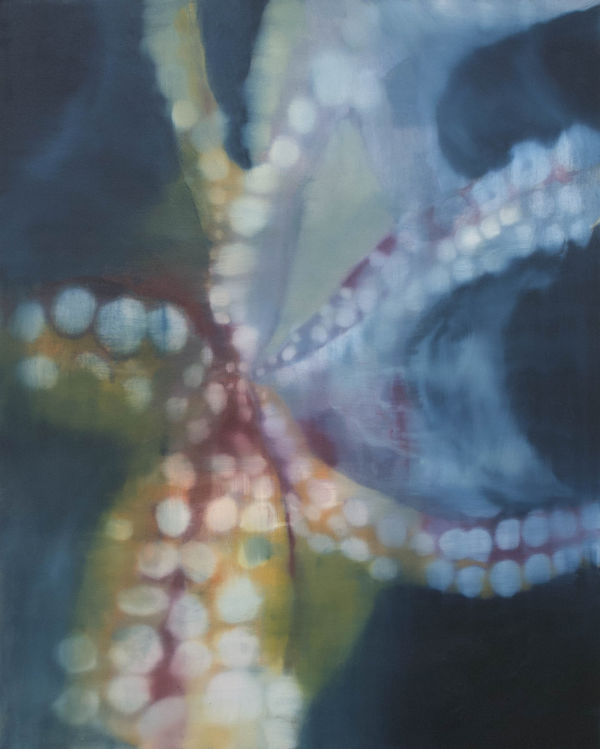 The Cephalopod's Dance