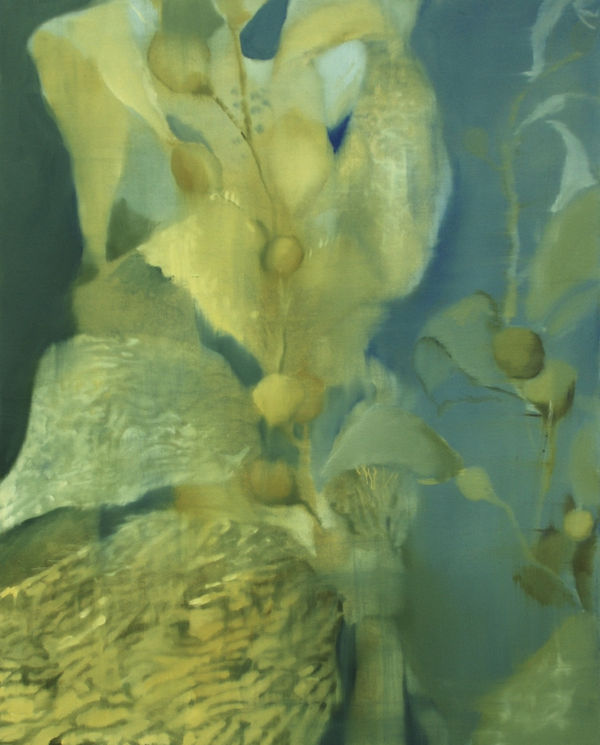 Within the Kelp Forest, 2024